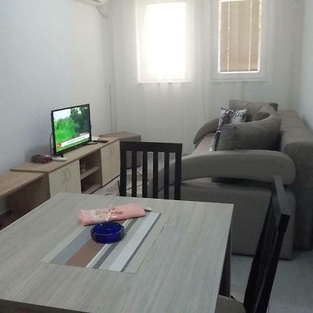 Apartman Jevtic 1 Gornja Toplica Exterior photo
